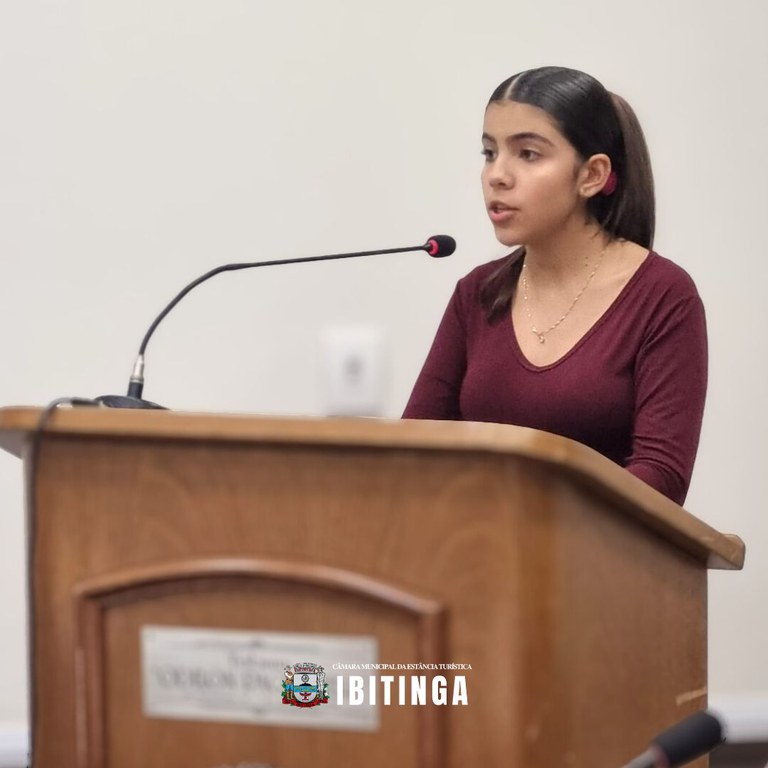 3 Sessão Parlamento Jovem 13 (9).jpg
