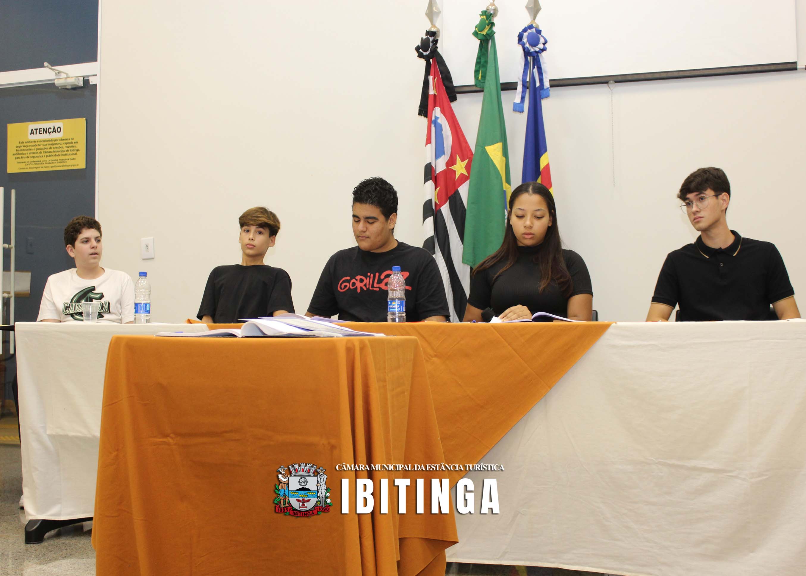 Posse Vereadores Mirins (28).jpg