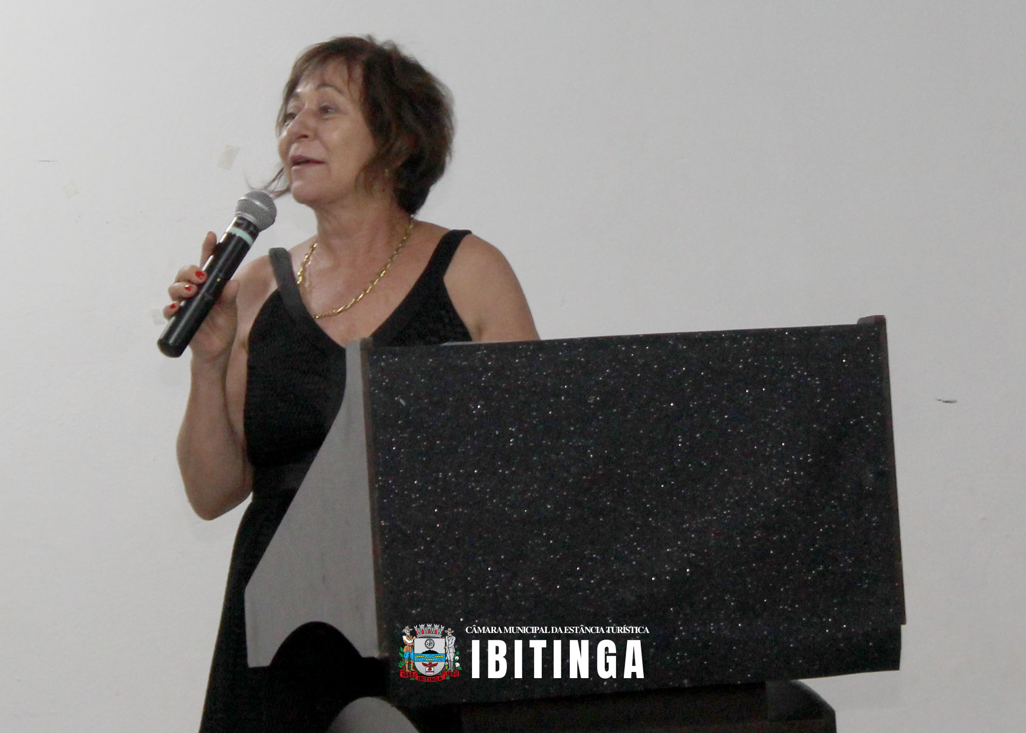 Sessão Solene - Cidadania Ibitinguense Elza e André 08.jpg