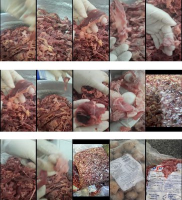 imagens anexadas no Requerimento